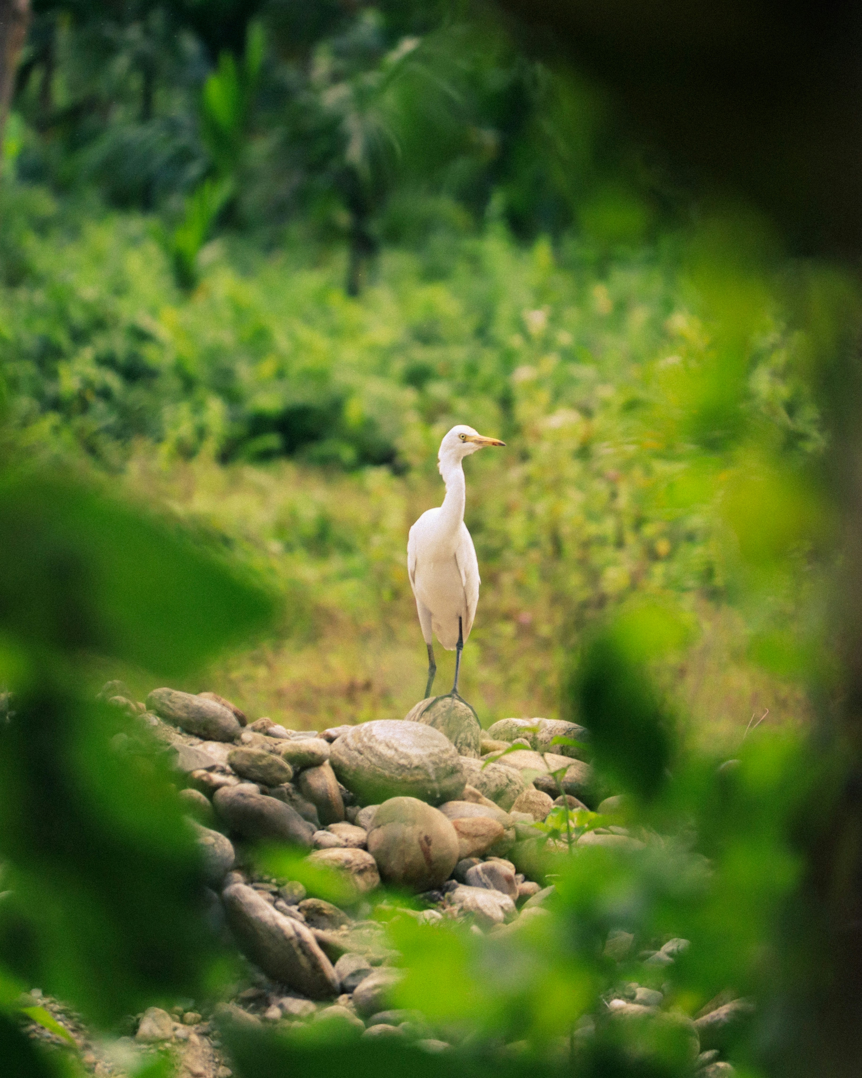 Photo by soonamwooeser