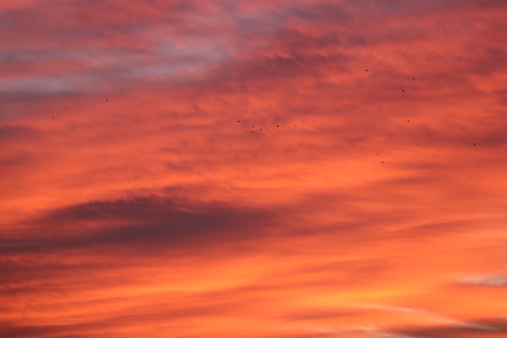 a pink and blue sky