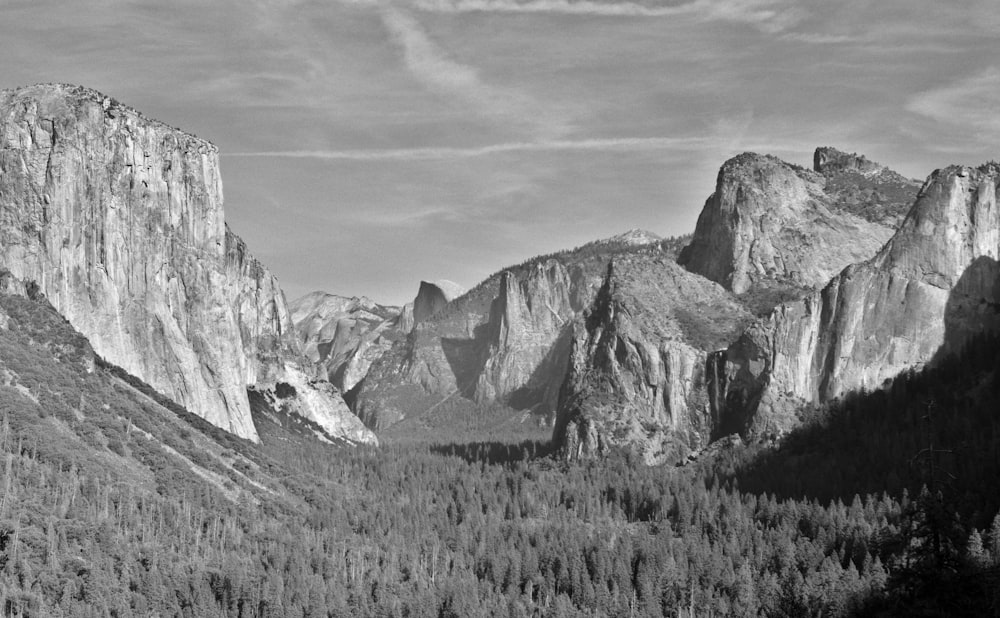 a mountain range with trees