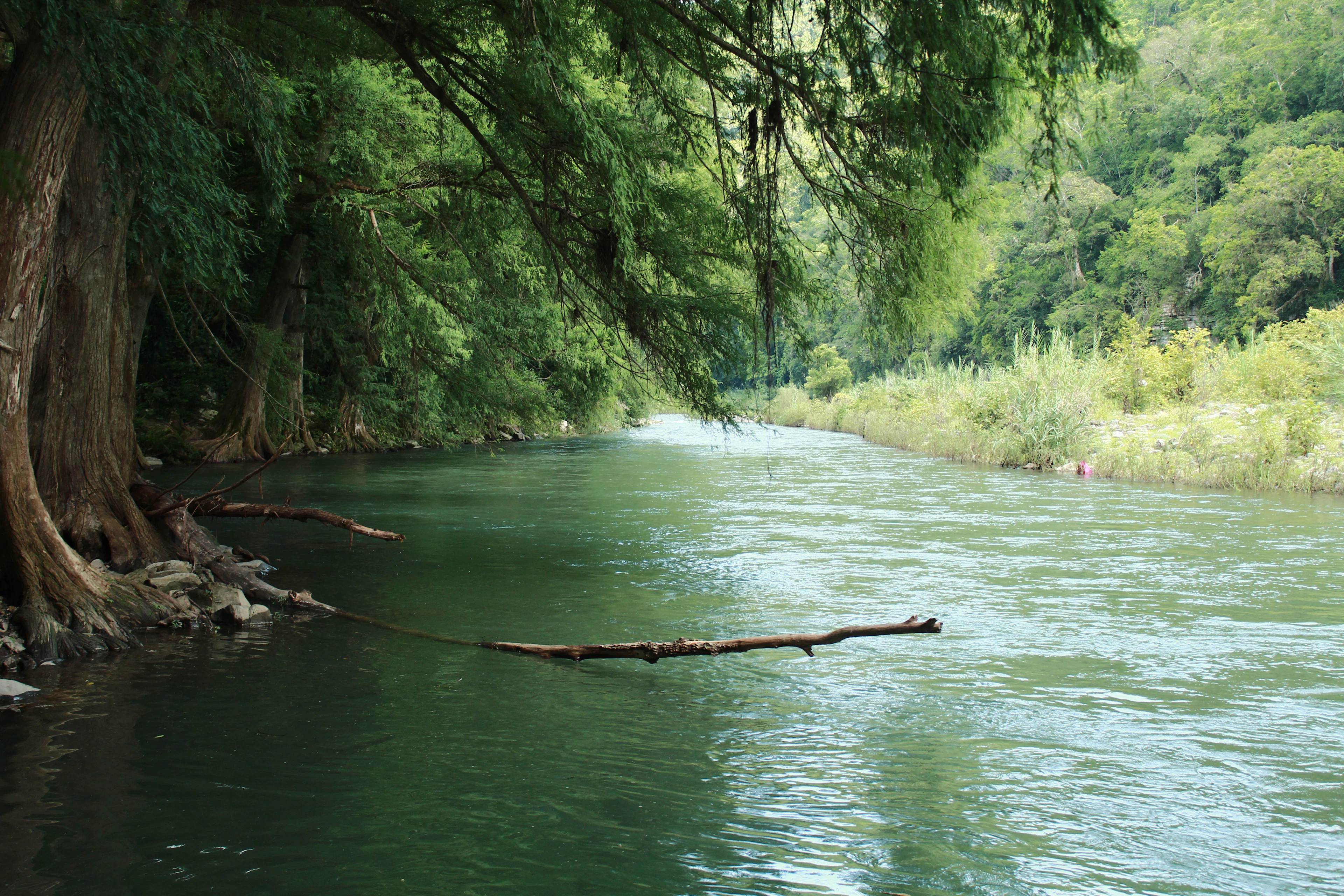 Green space and water in Oaxaca