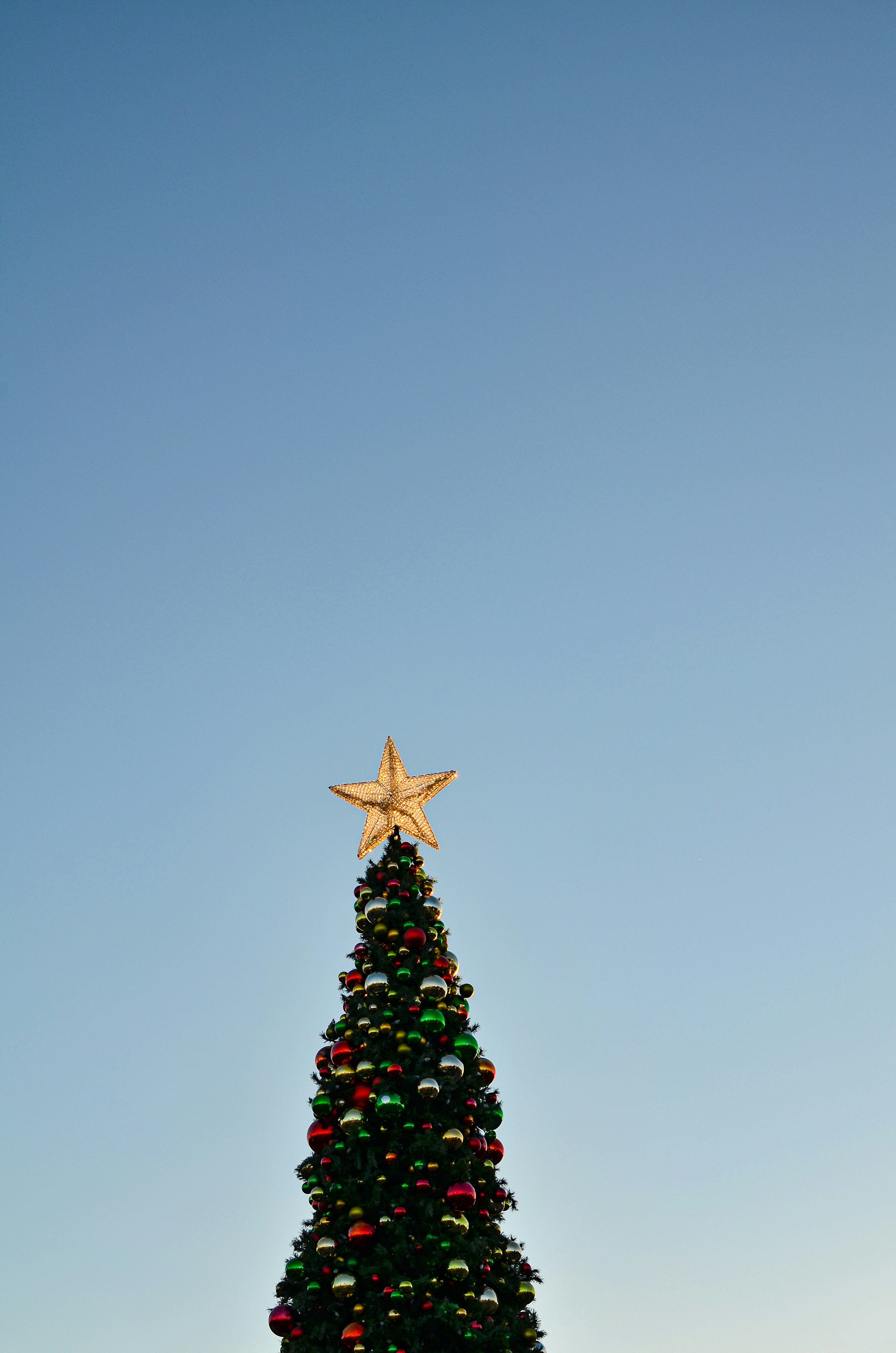 Photo by another_passenger717