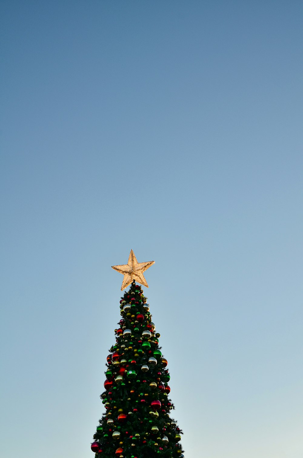 a tree with a star on top