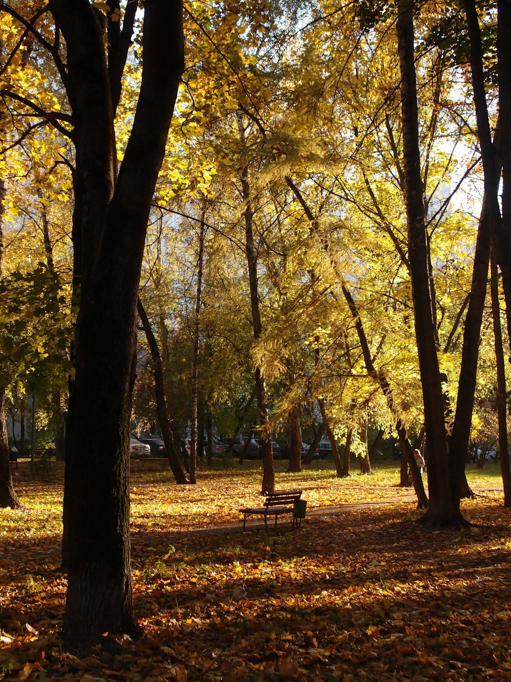 a bench in a park