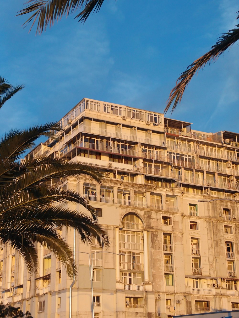 a building with palm trees