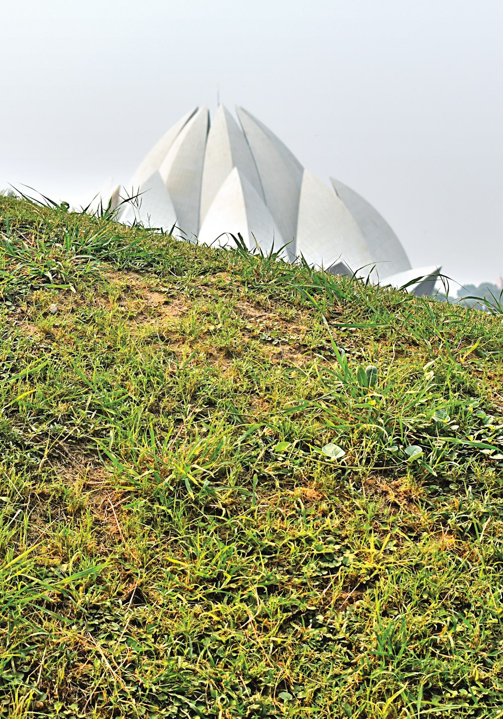 a white tent in a field