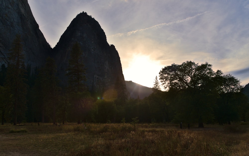 a landscape with trees and mountains in the background