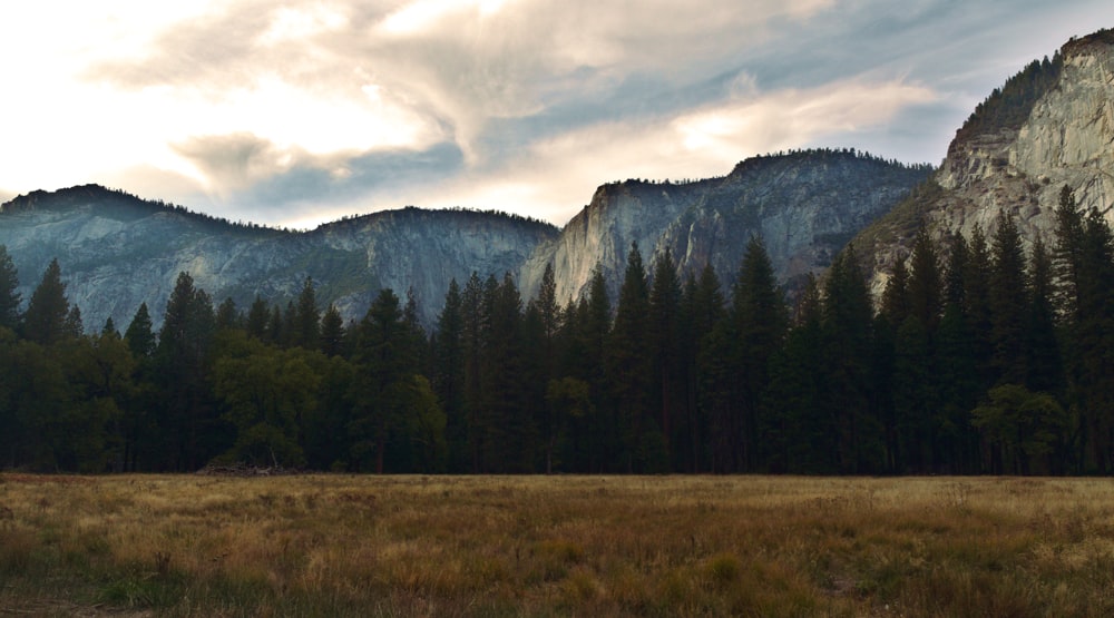 a grassy field with trees and mountains in the background