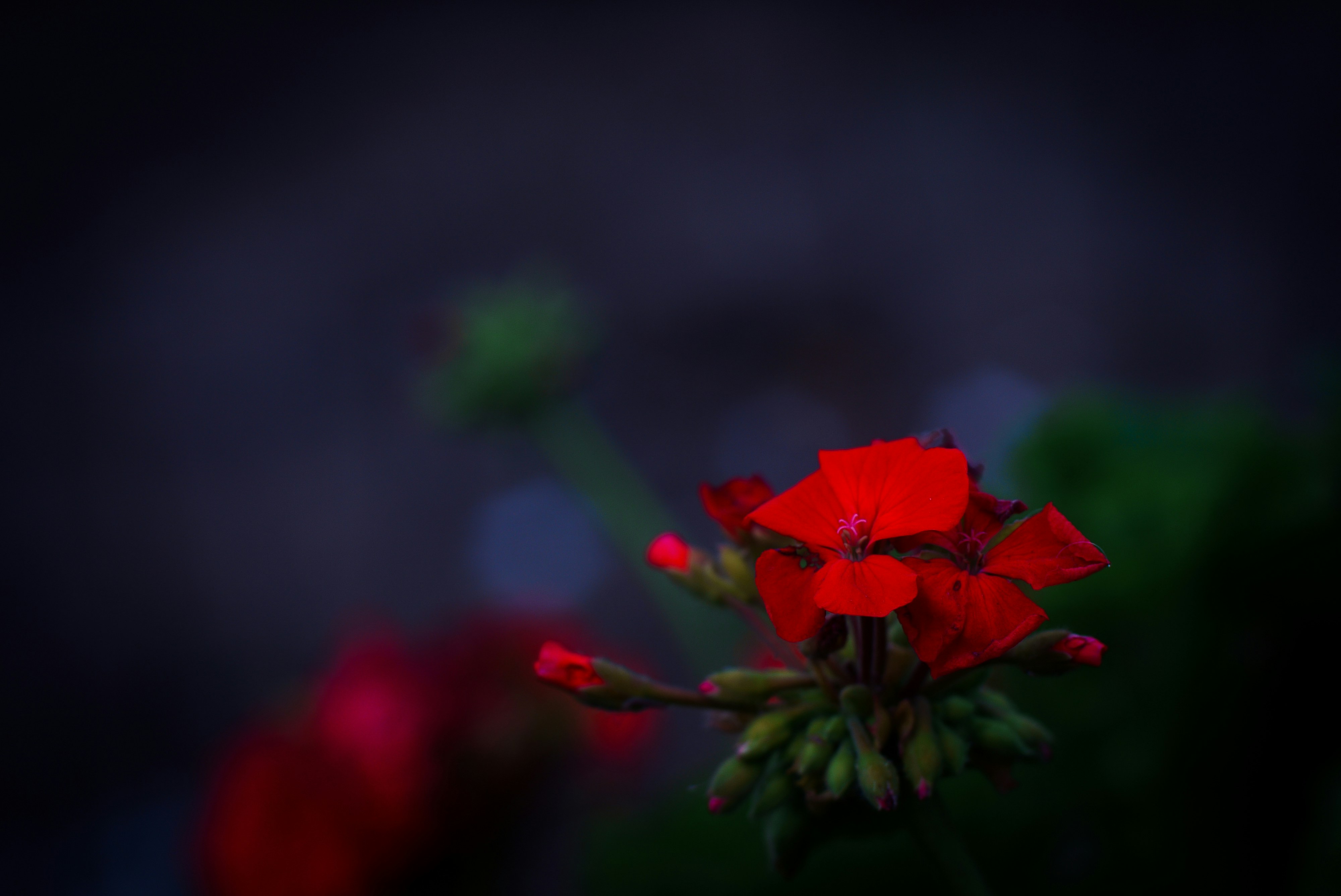 Photo by galihsputro