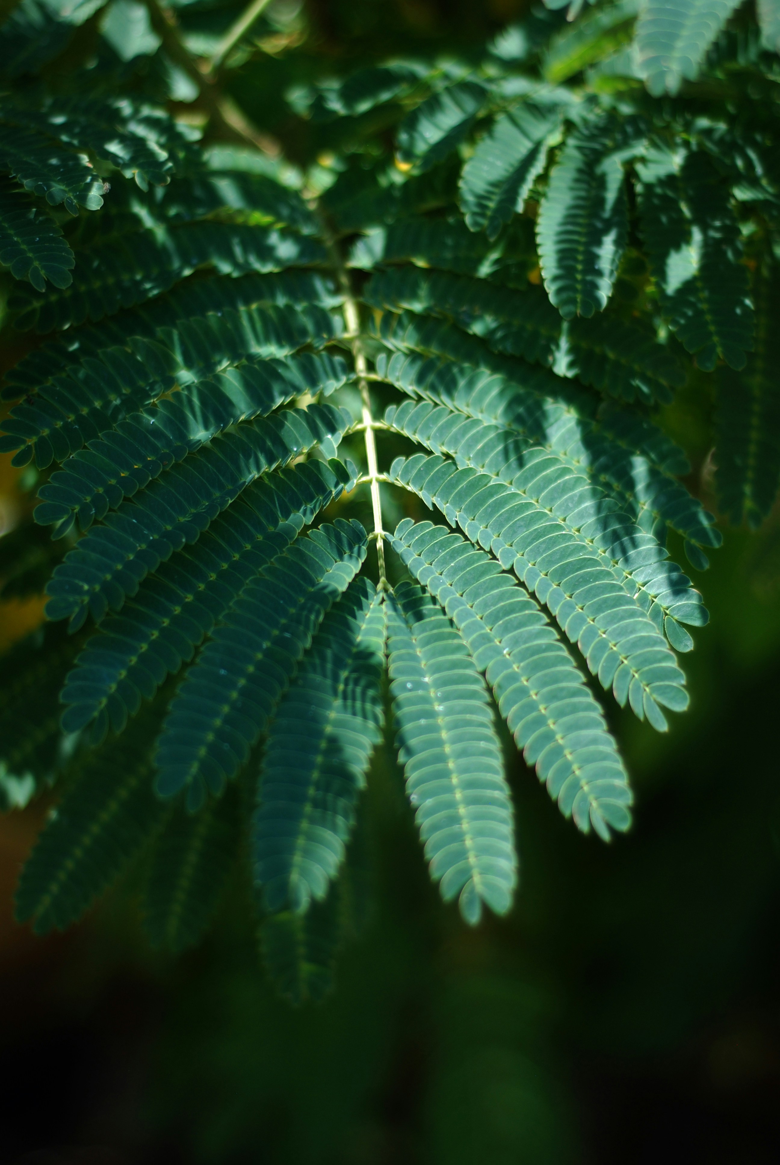 Photo by kovalskihelga