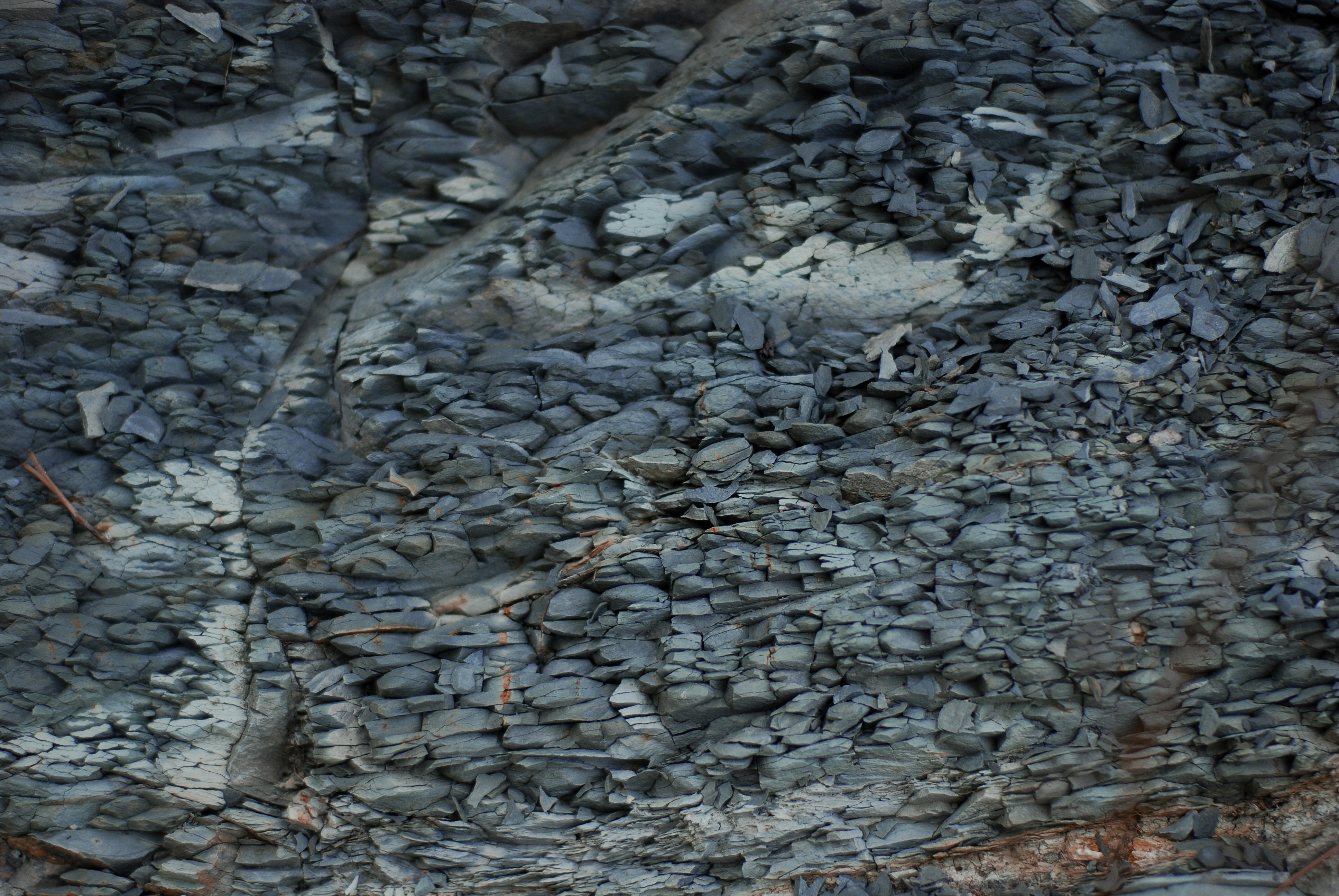 Photo by kovalskihelga