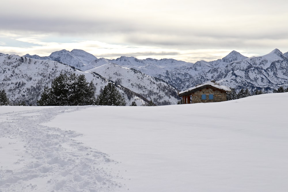 a house in a snowy landscape