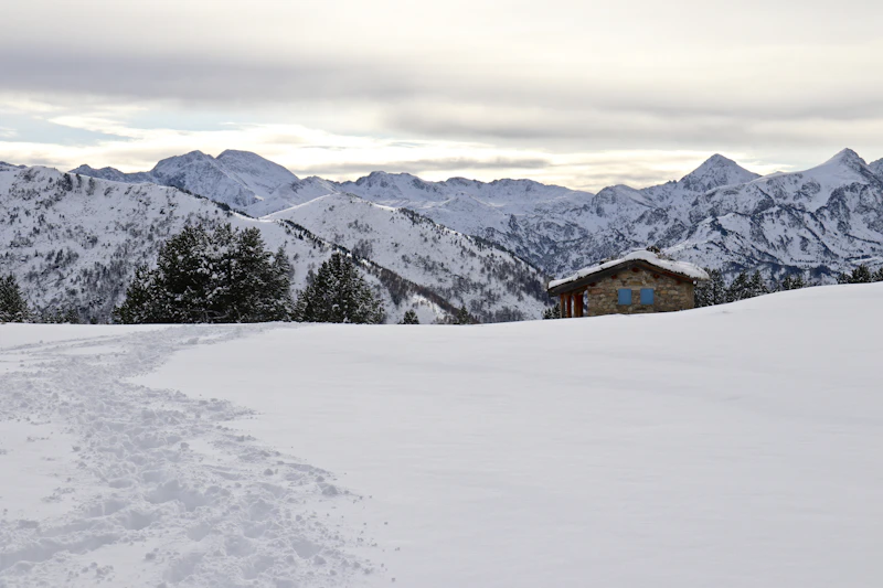 House in a snowy landscape