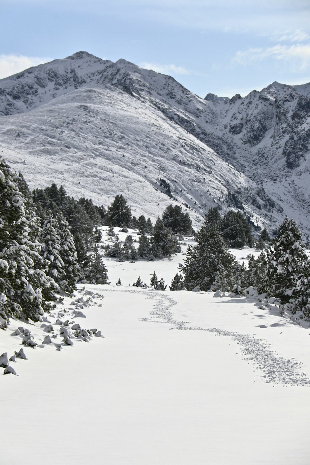 a snowy mountain with trees