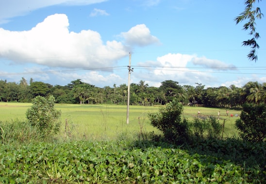 Team of environmental consultants collaborating outdoors with green landscape background.