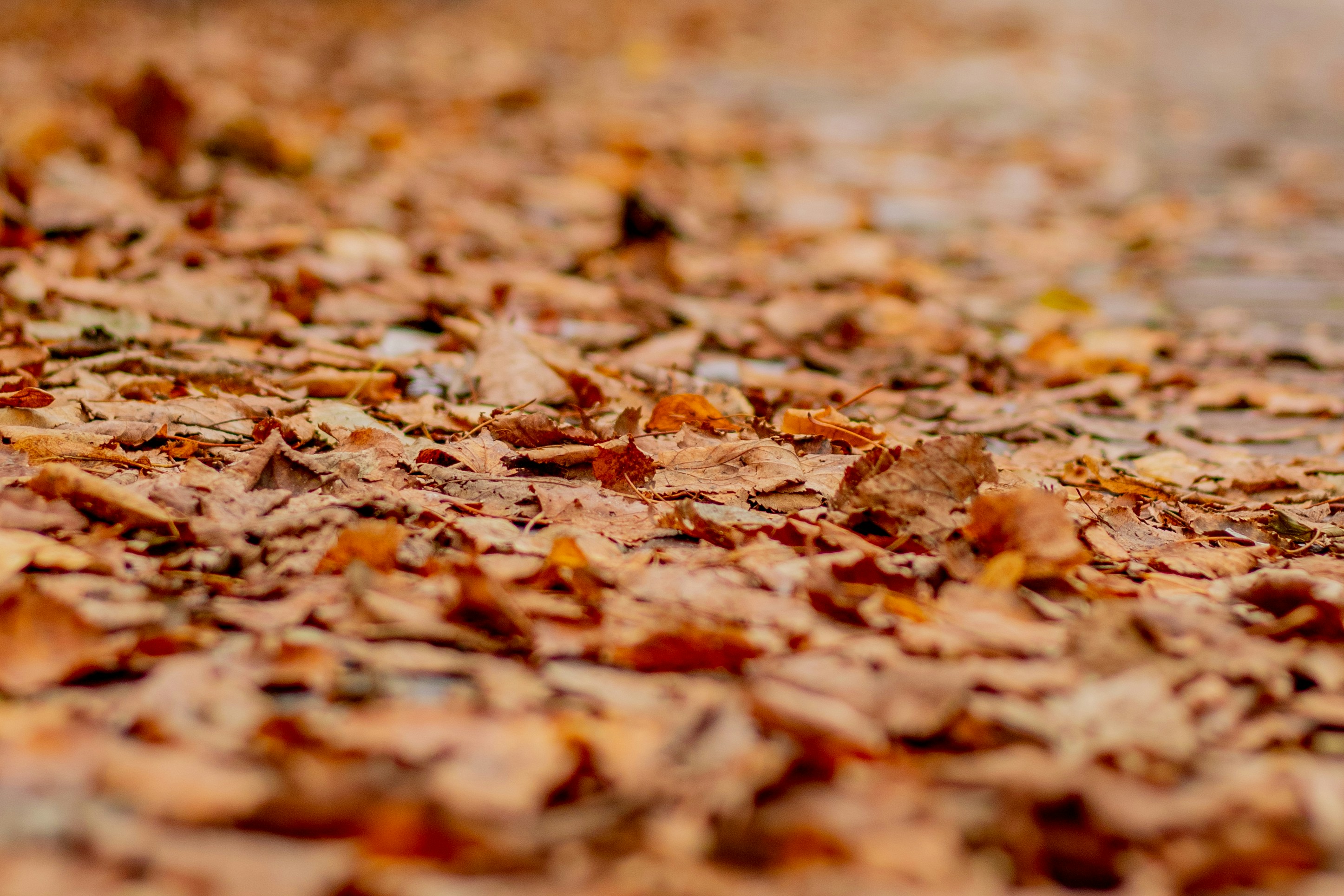 Photo by rudolf_peter_bakker