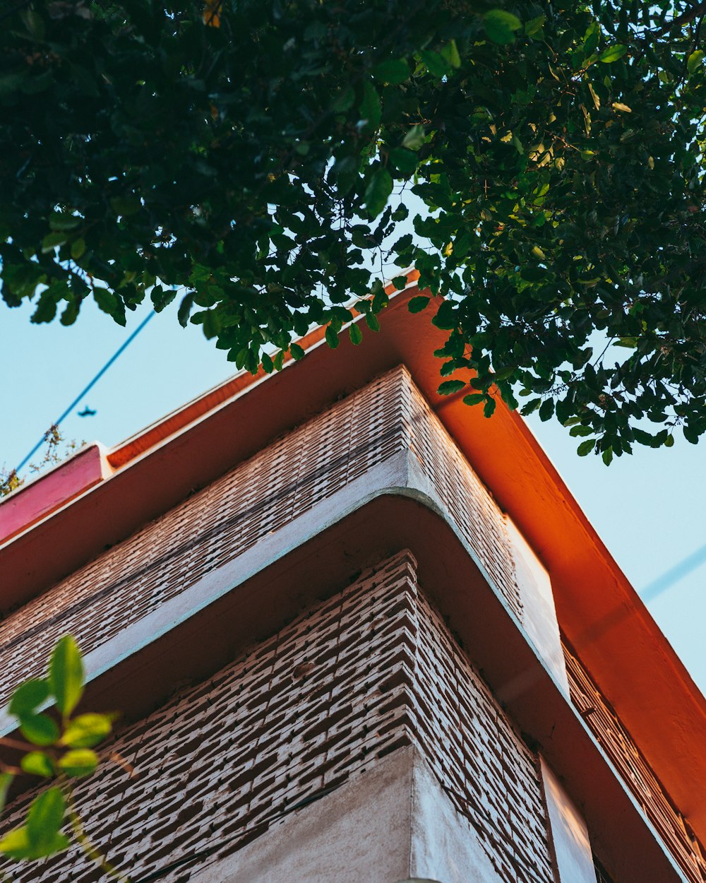 a tree next to a brick building