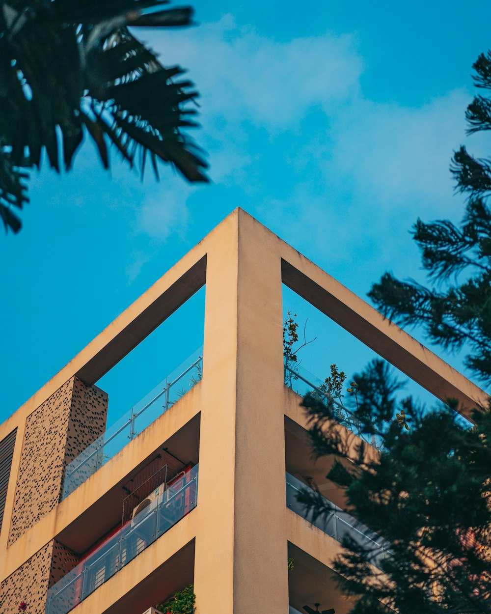 a building with a tree in the front