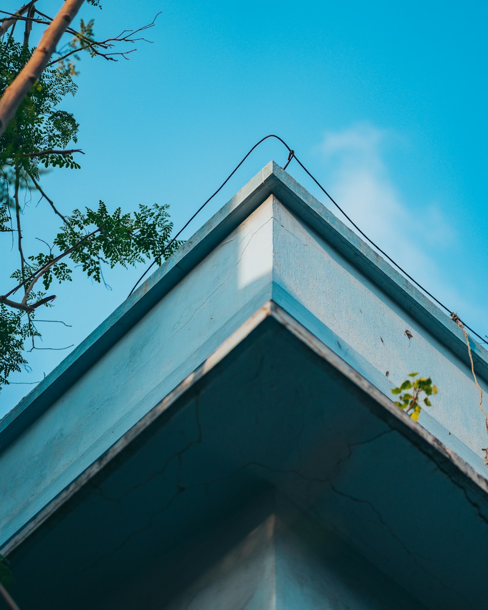 a roof with a tree and blue sky