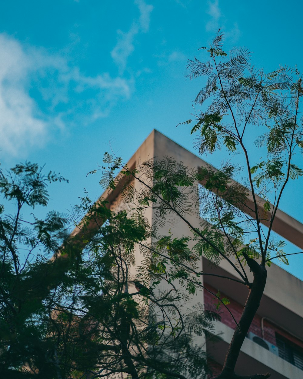 a tall building with trees in front of it