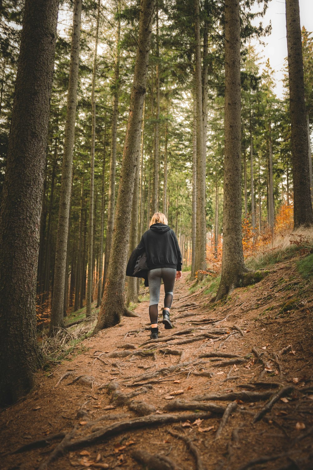 Un uomo che cammina in una foresta