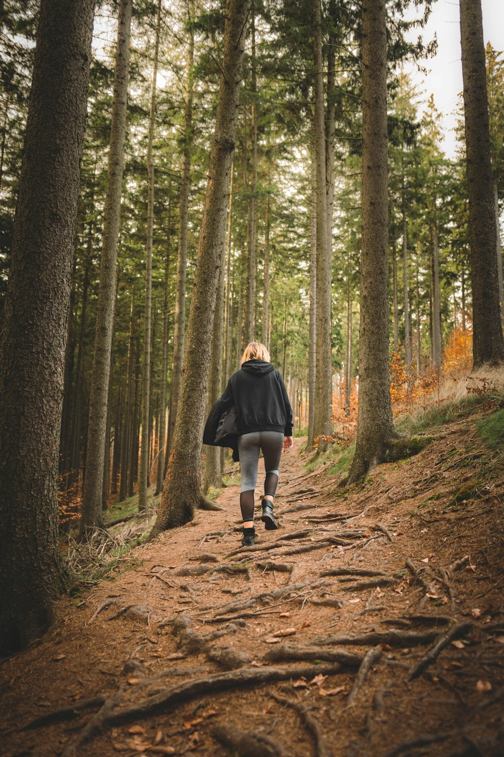 a man walking in a forest