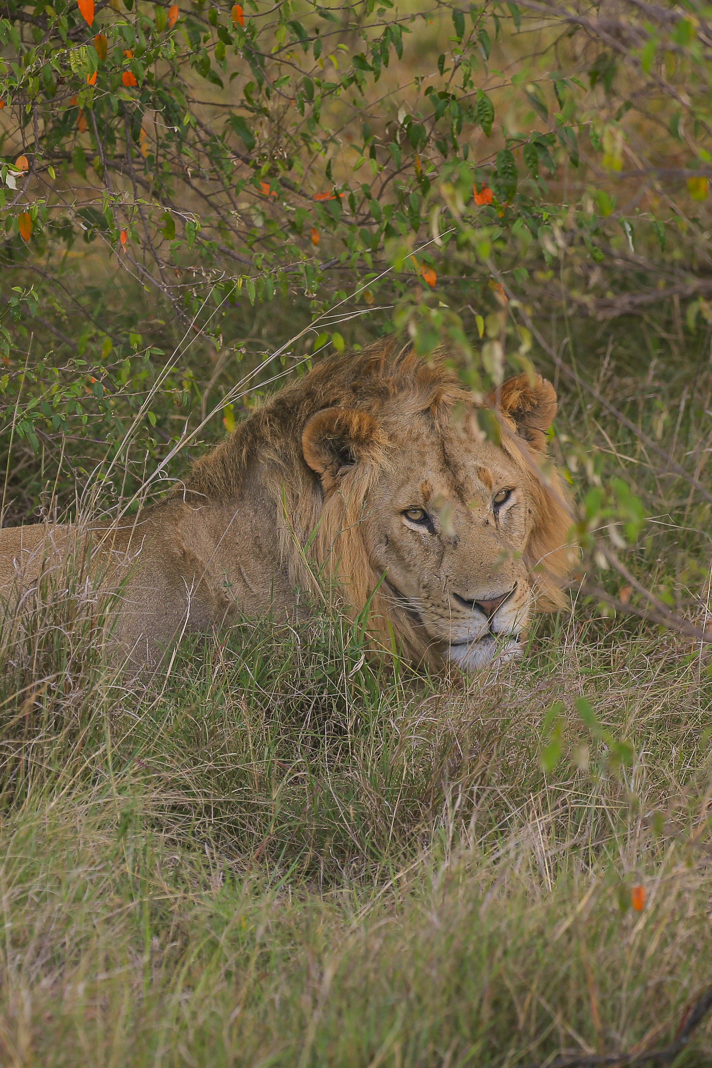 Photo by twilightkenya