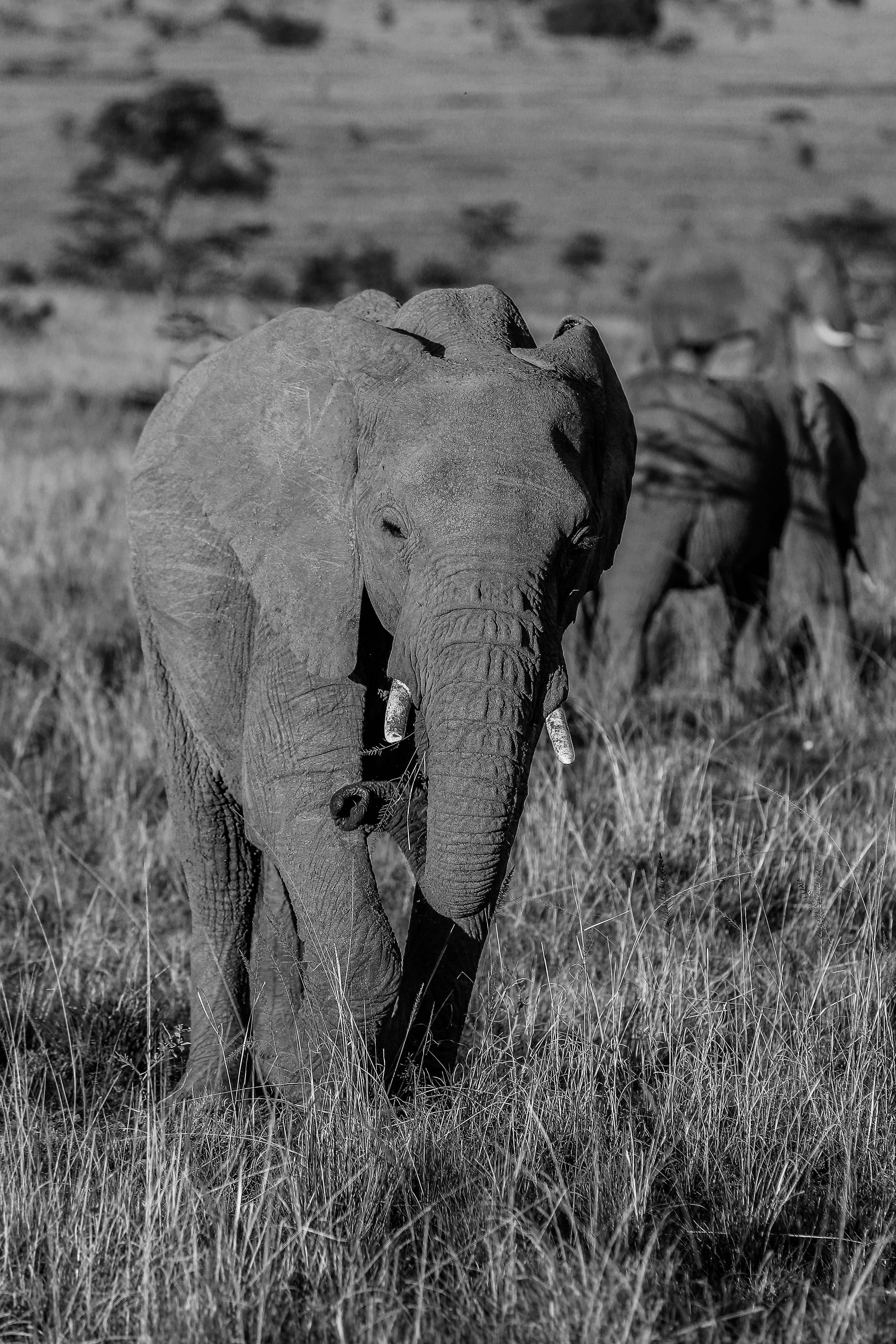 Photo by twilightkenya