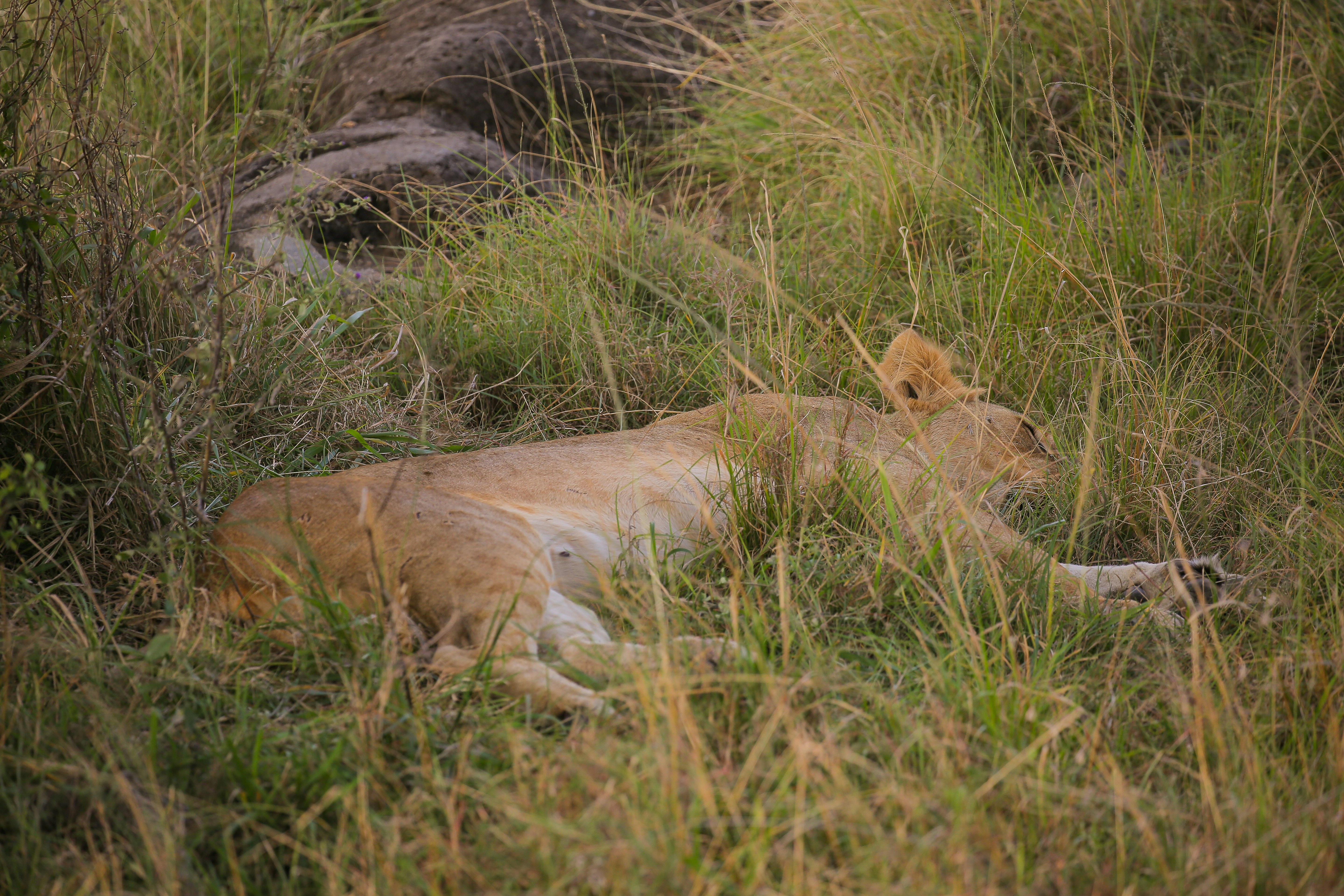 Photo by twilightkenya