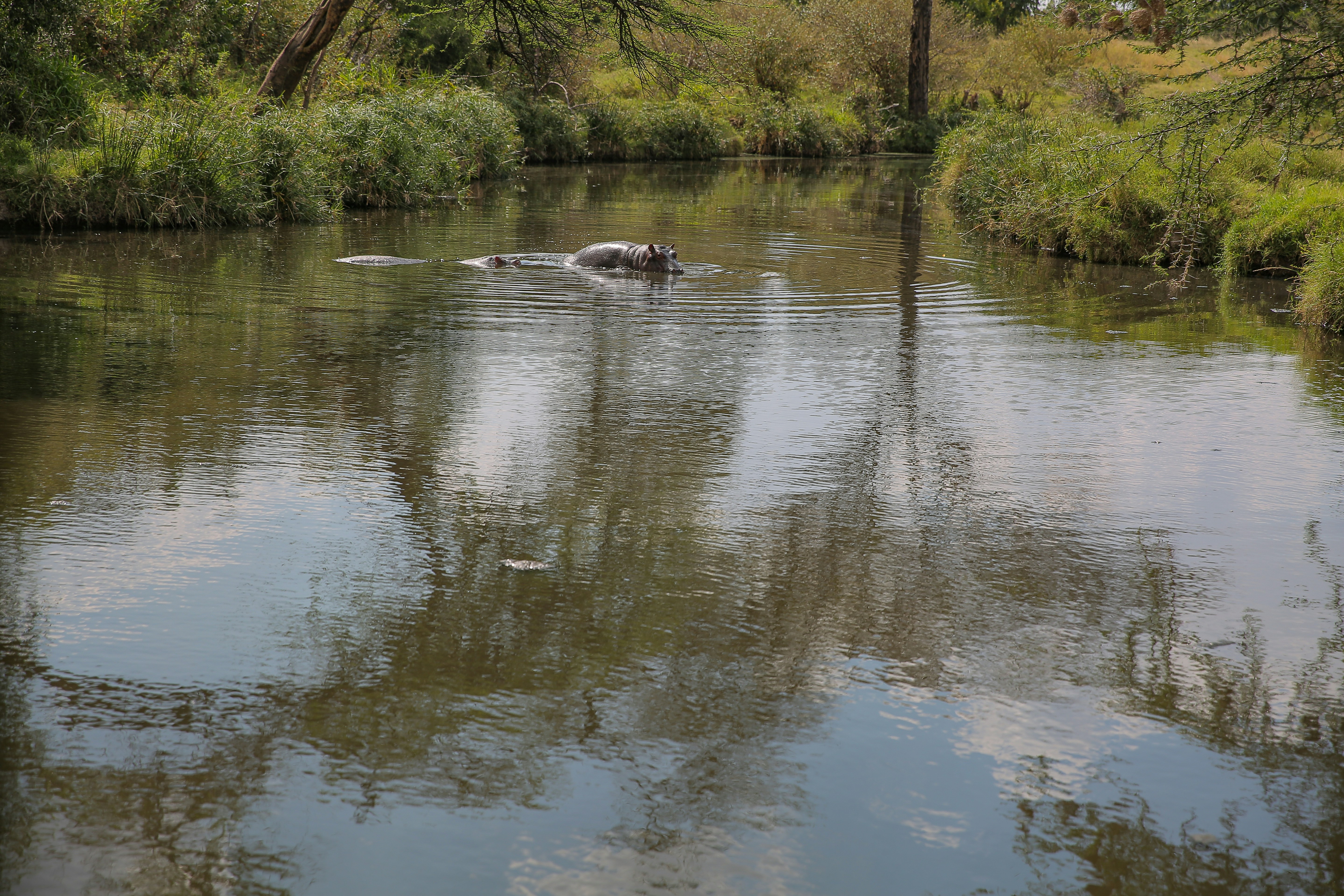 Photo by twilightkenya