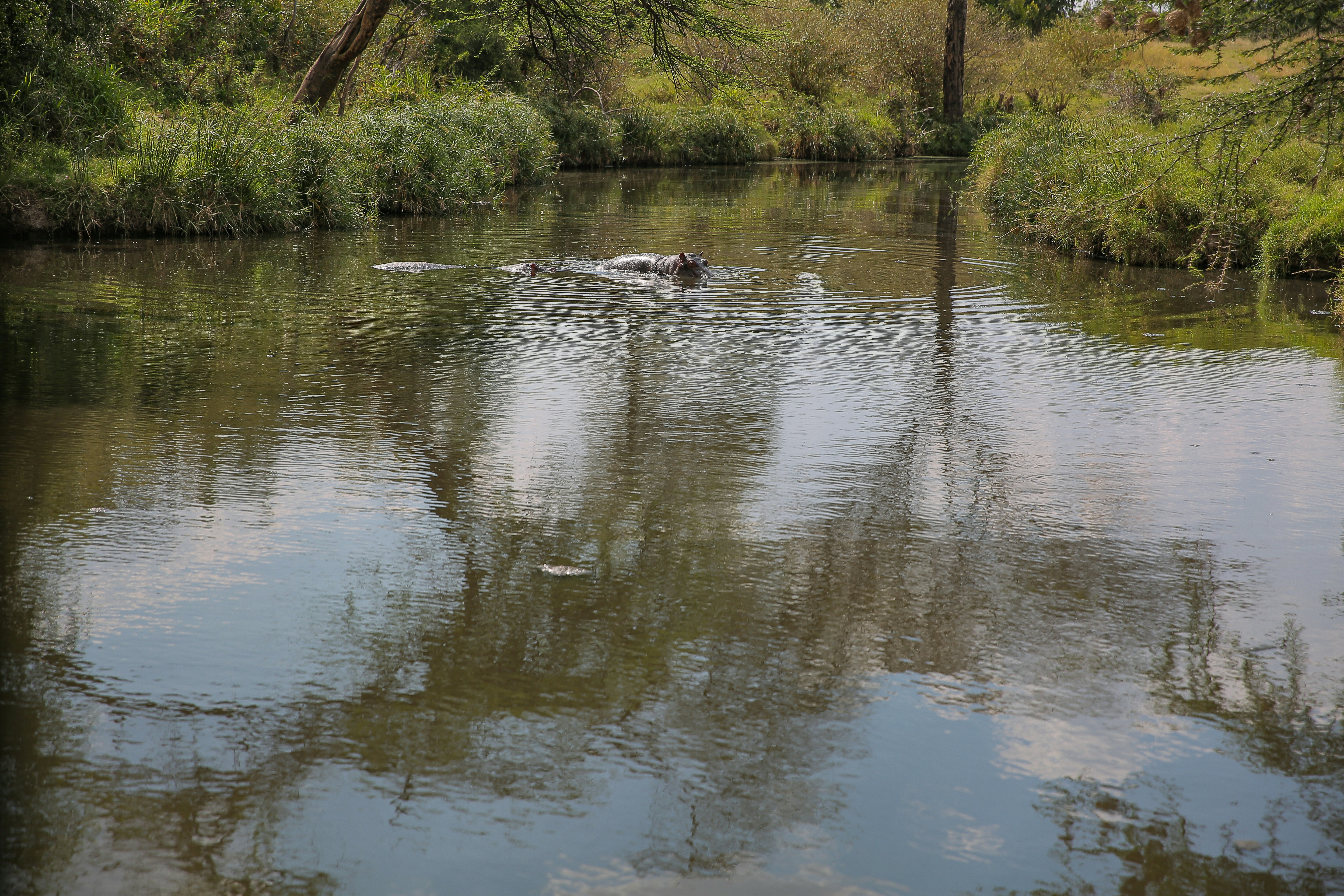 Photo by twilightkenya