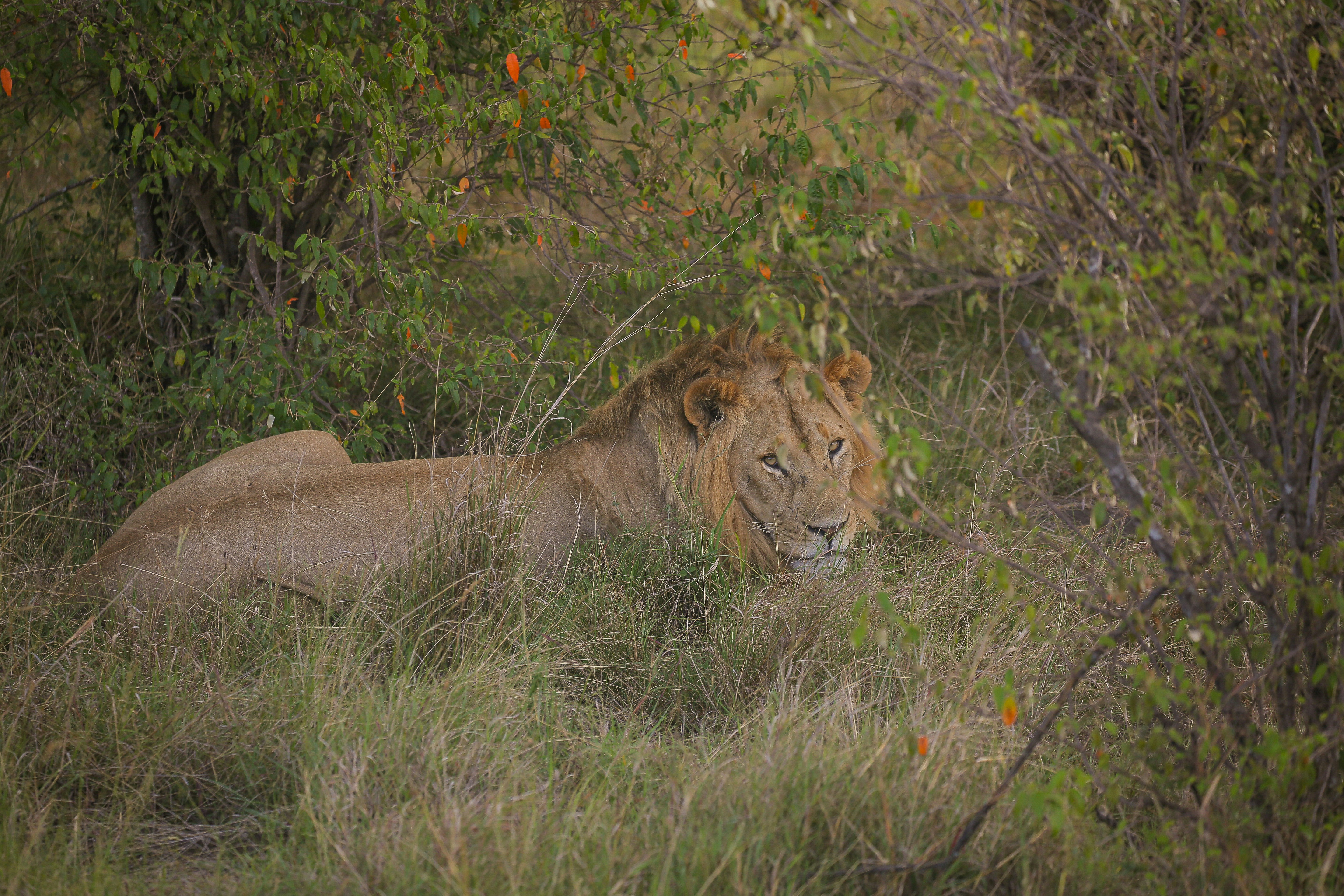 Photo by twilightkenya