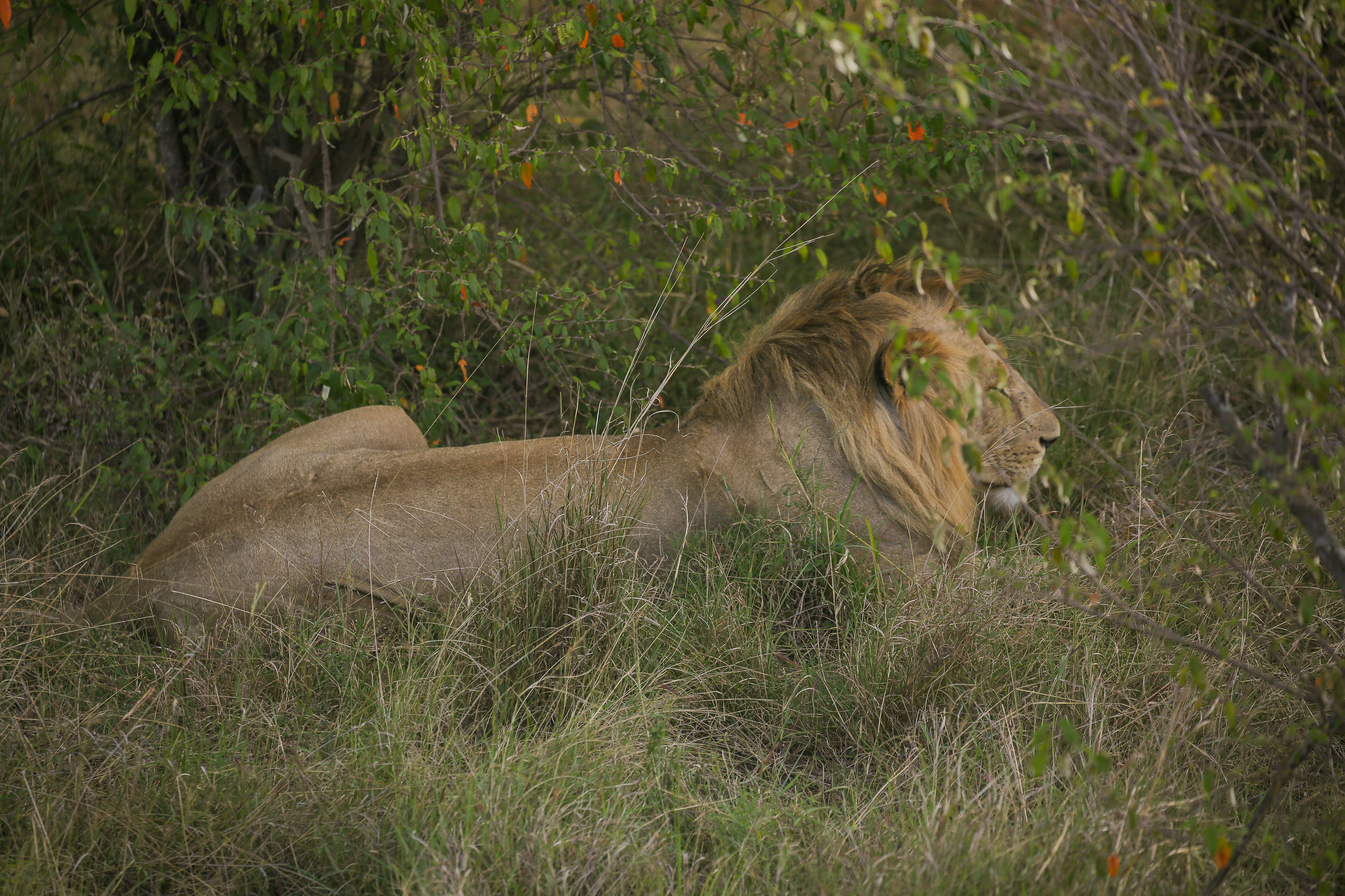 Photo by twilightkenya