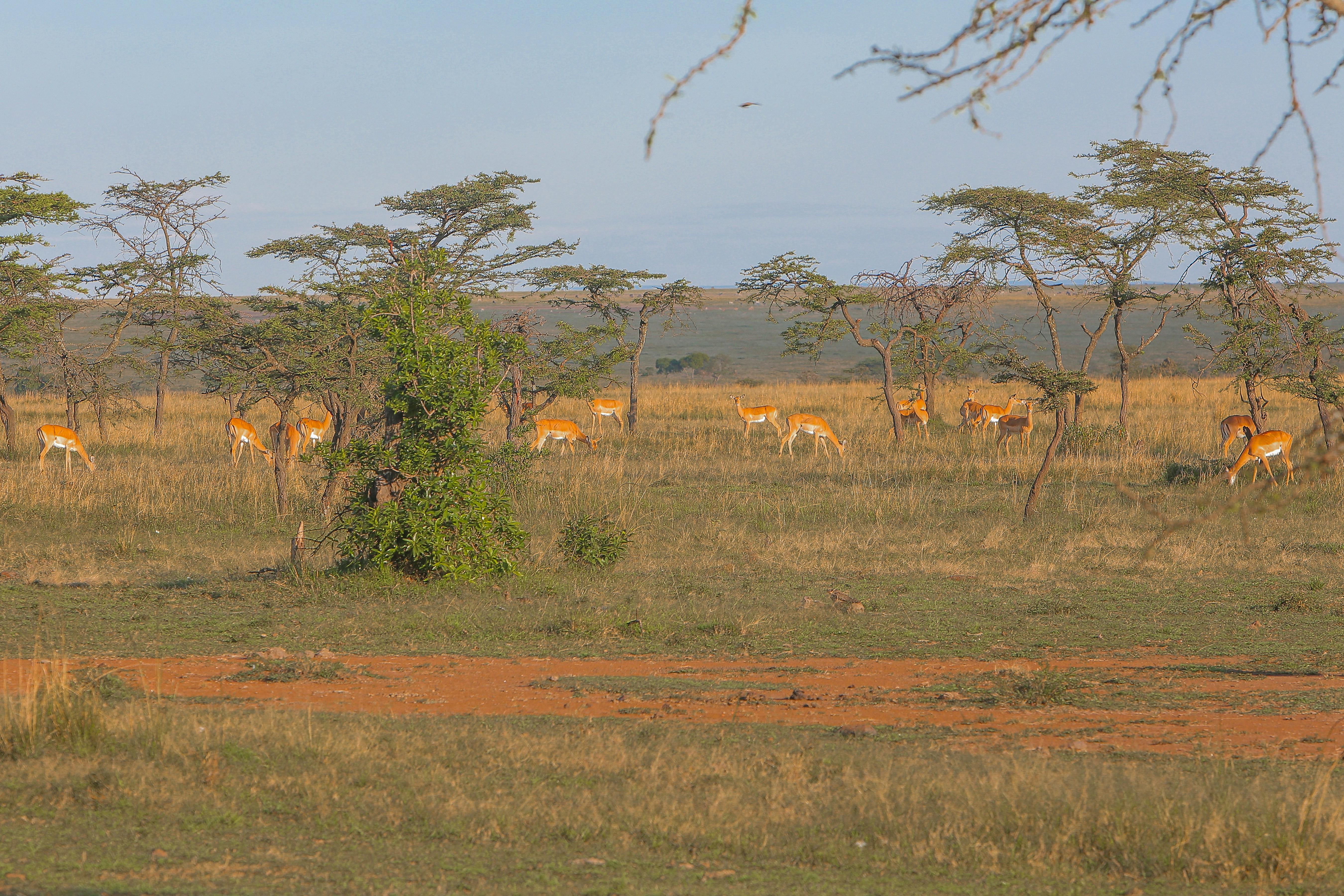 Photo by twilightkenya