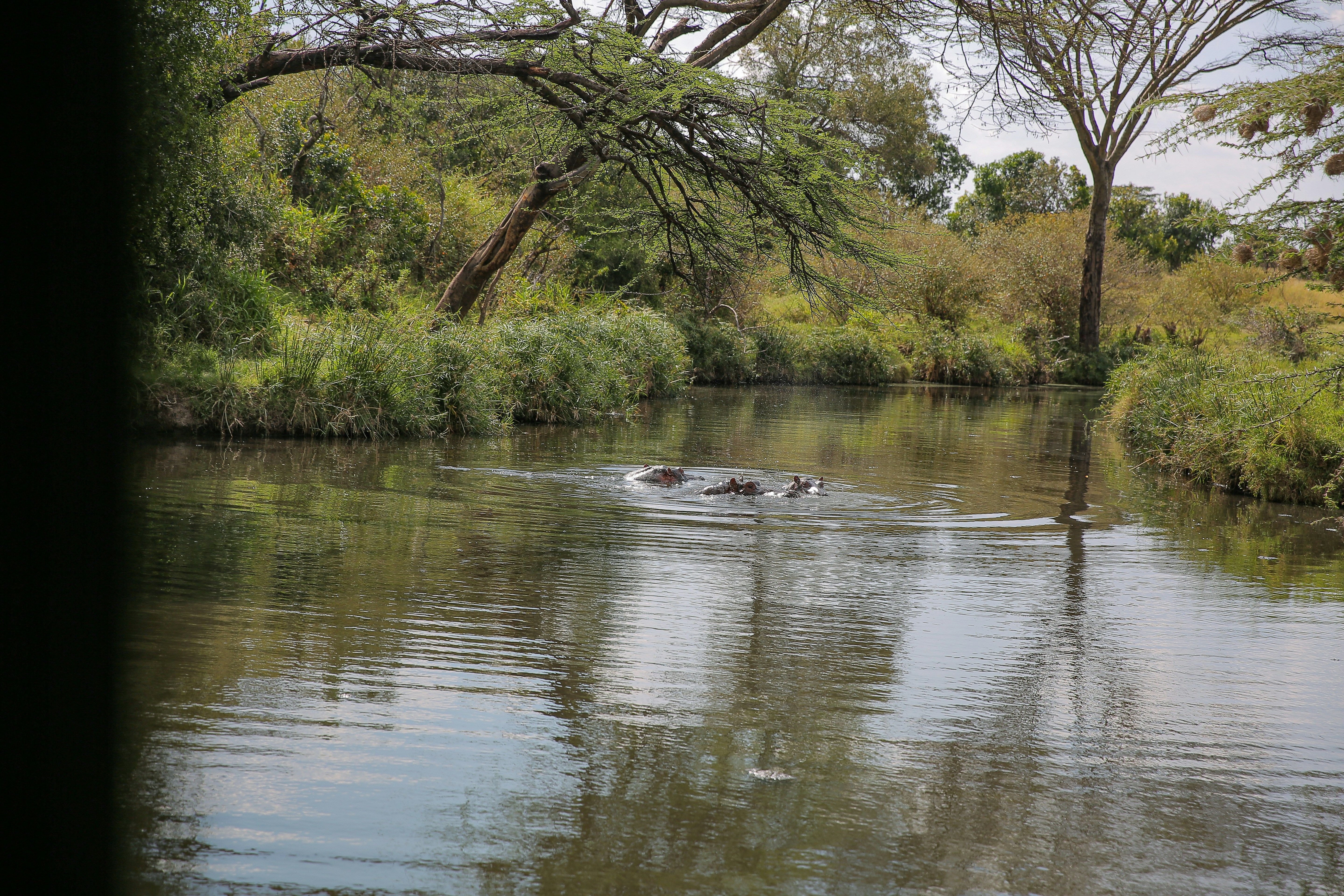 Photo by twilightkenya