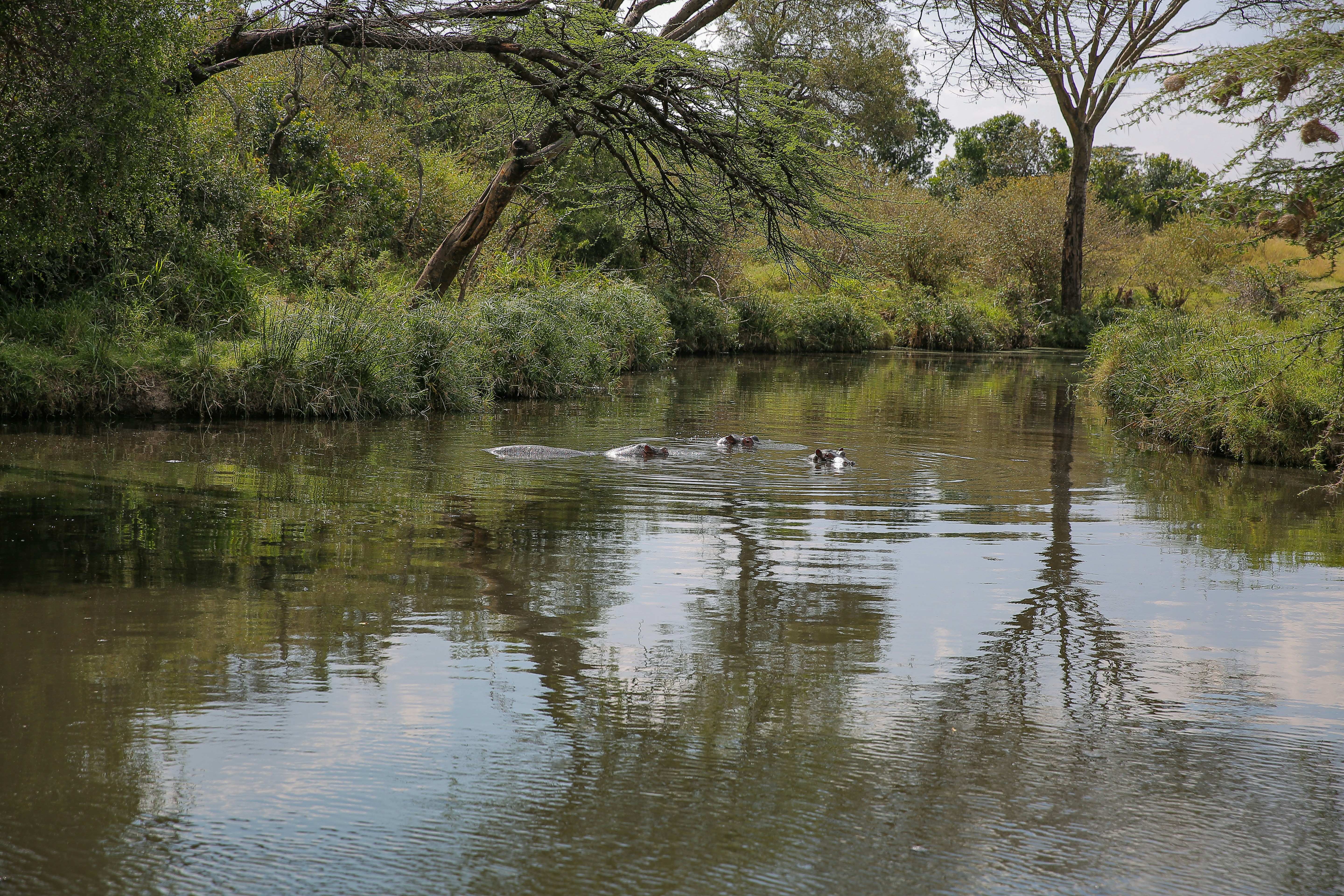 Photo by twilightkenya