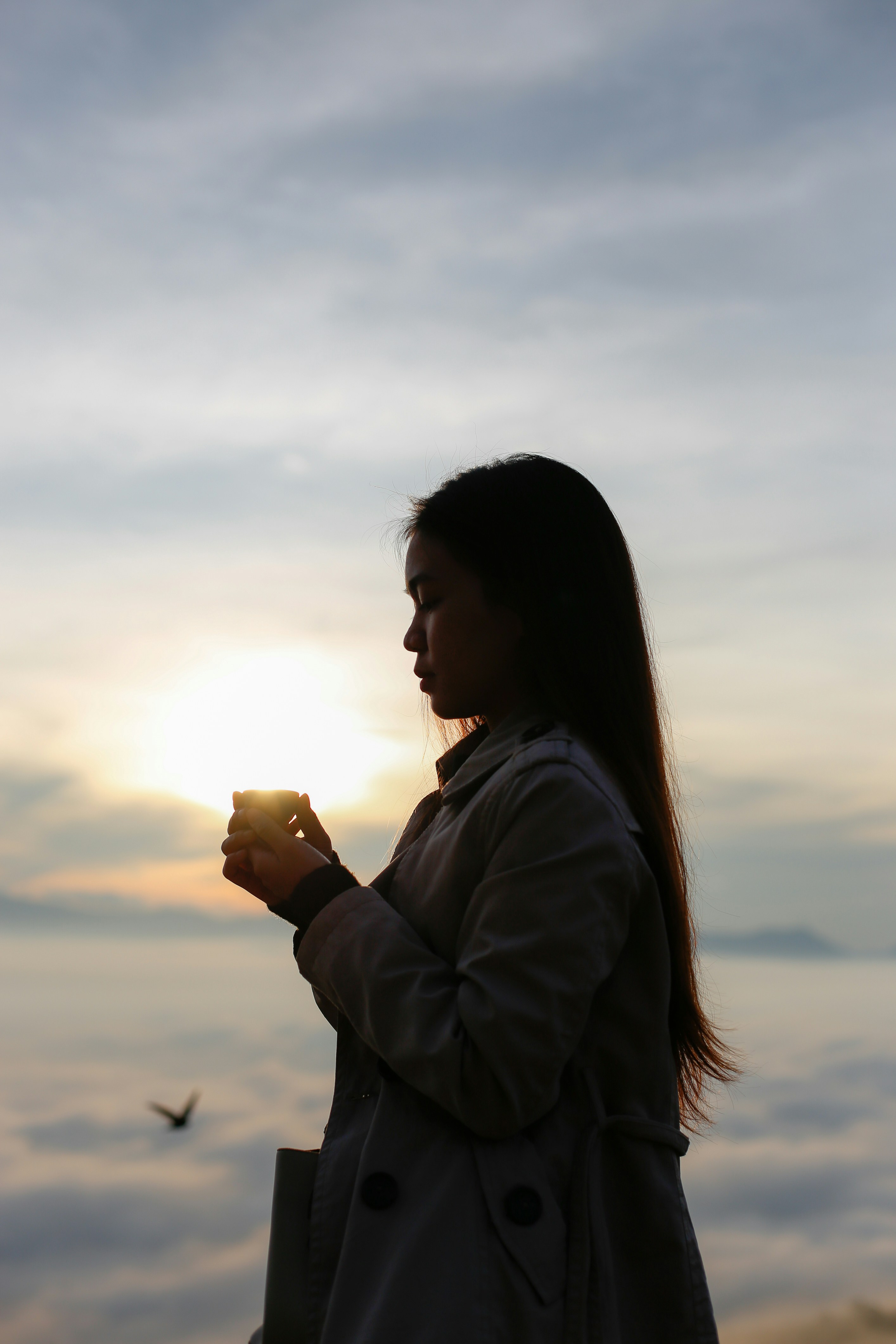 Photo by quangdieu195