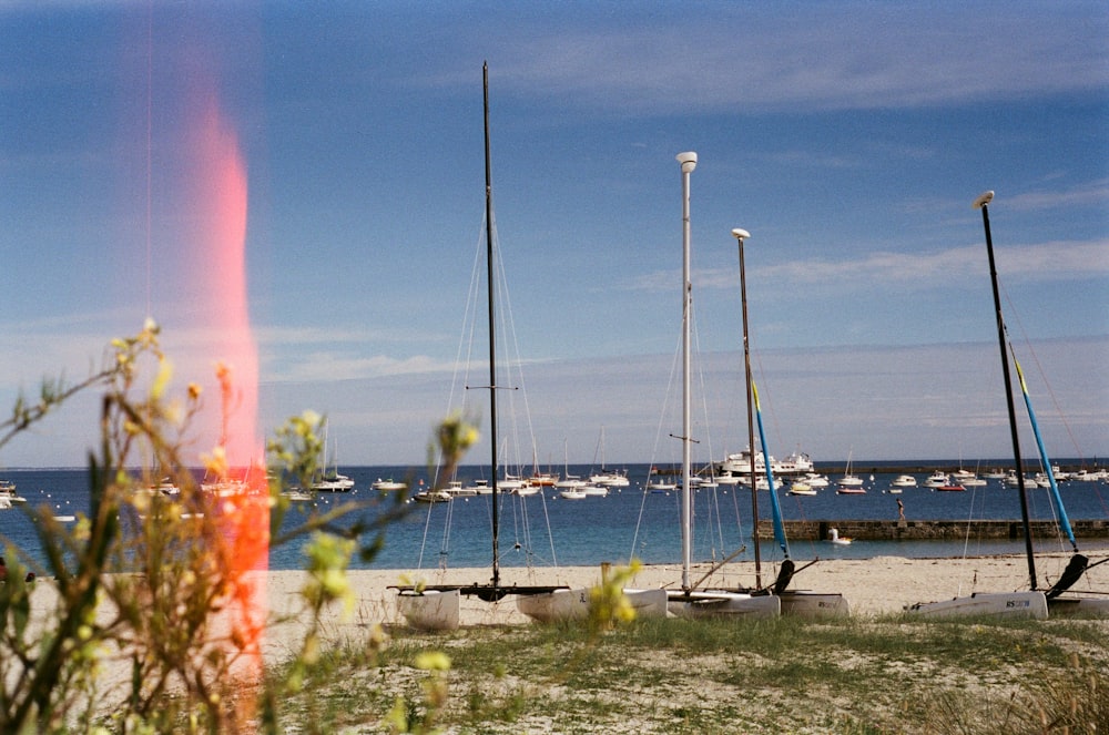 a group of sailboats on the water