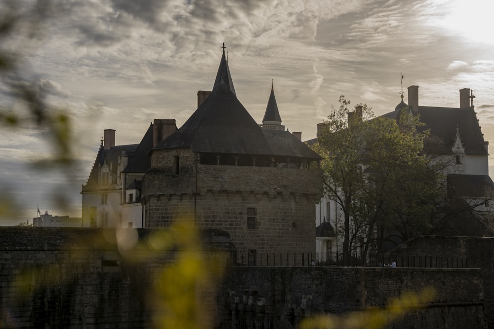 a castle on a hill