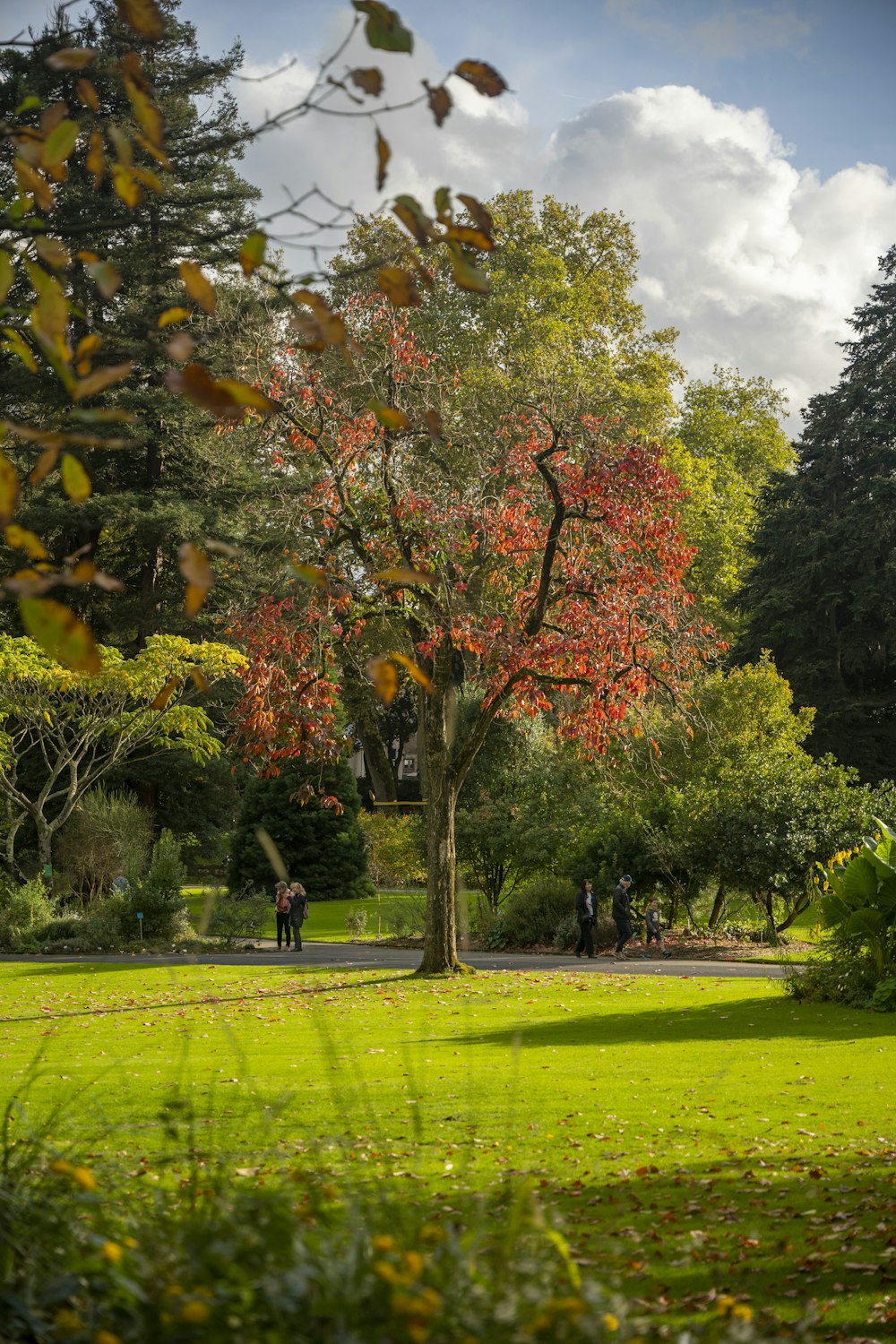 a group of people walking around a tree in a park