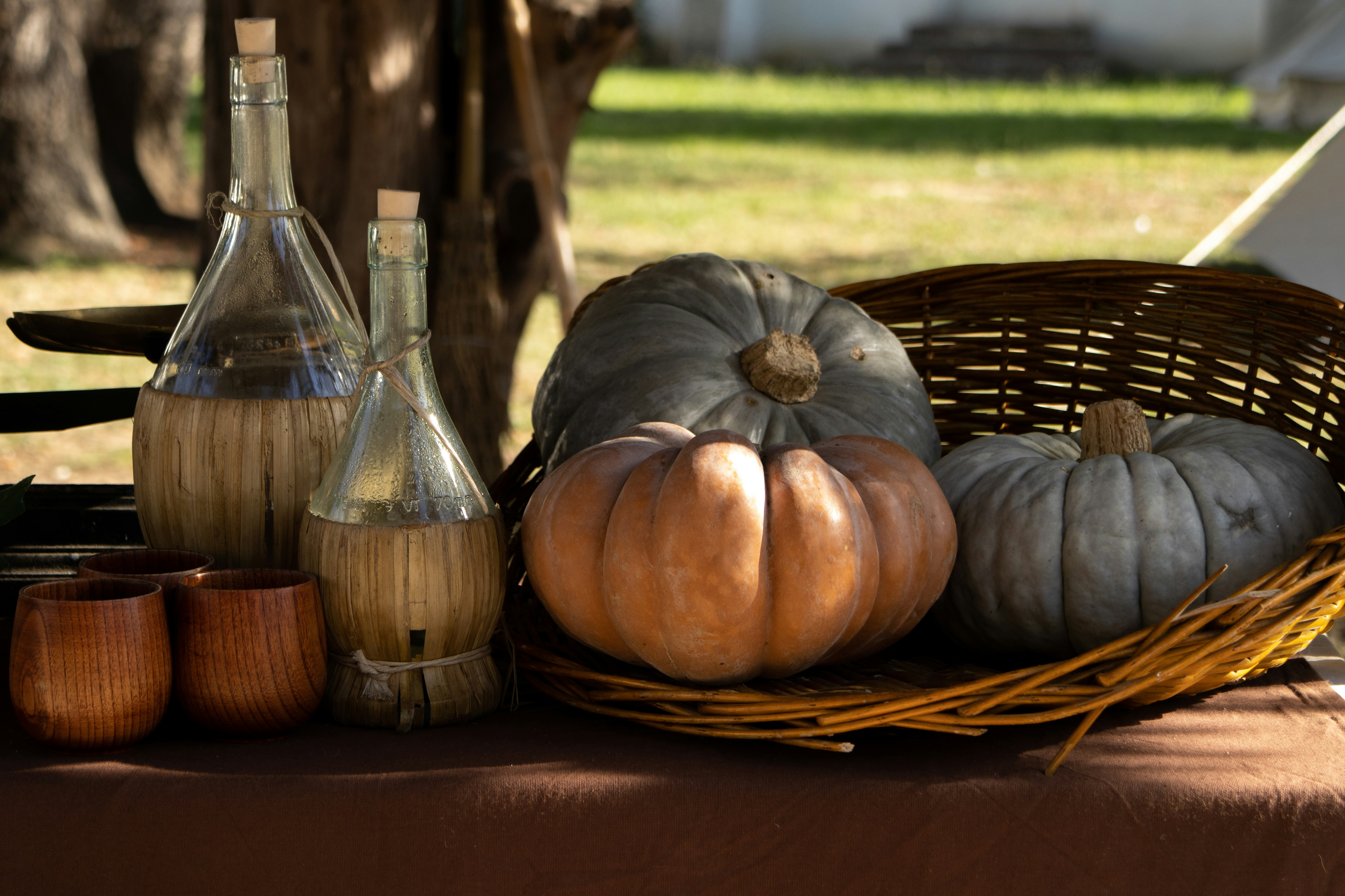 Photo by lascioliasia