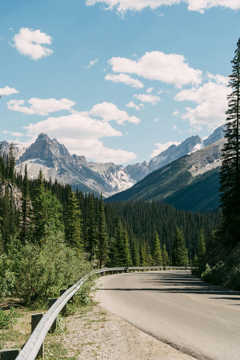 a road with trees and mountains in the background