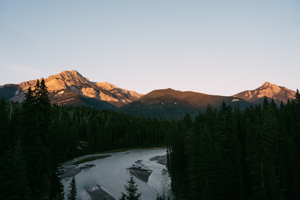 a river surrounded by trees and mountains