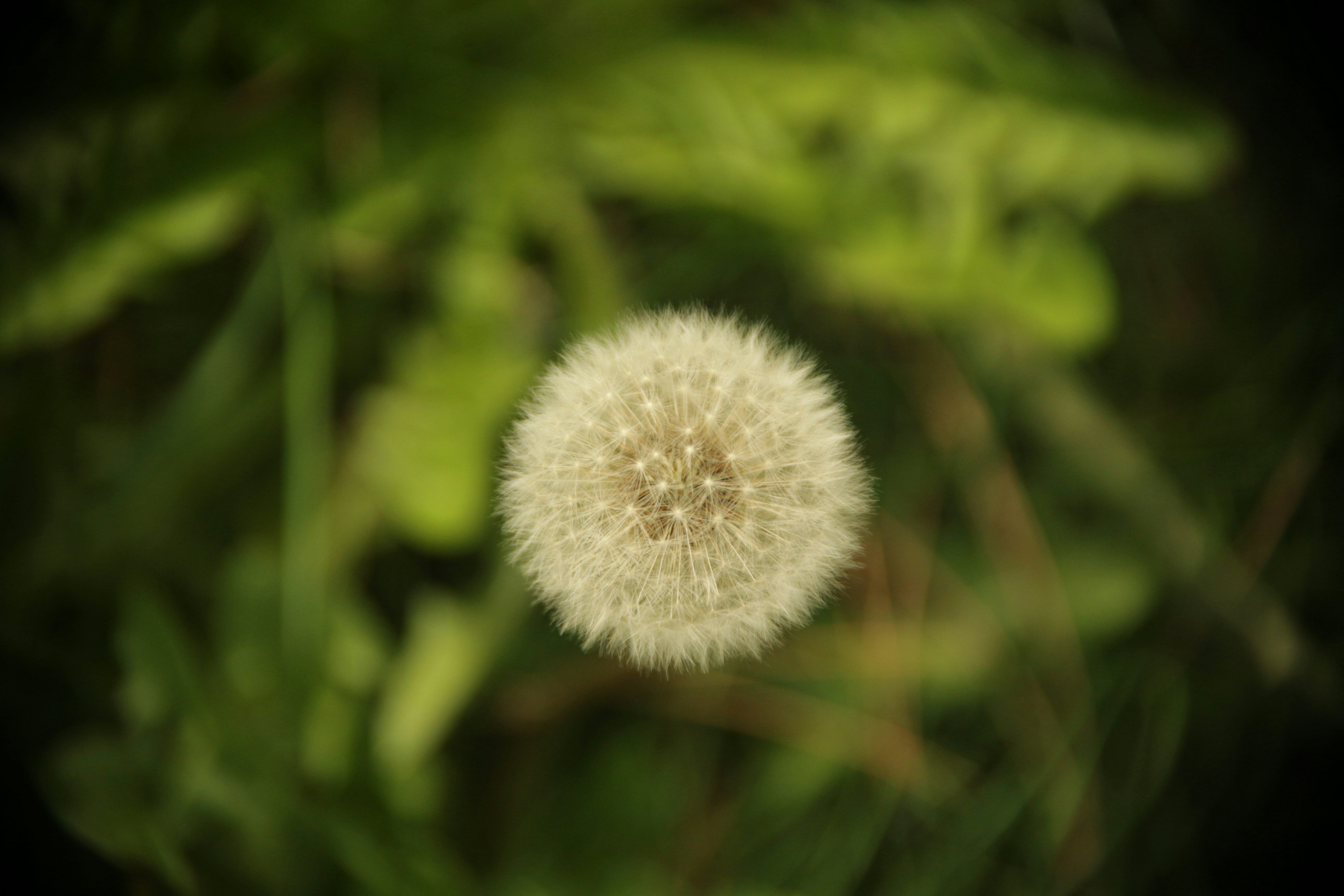 Photo by vial_sofiane