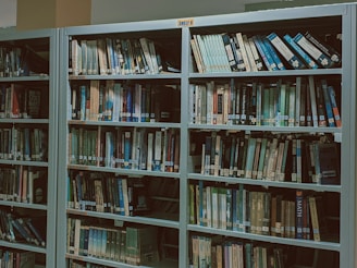 Bookshelves filled with various titles arranged neatly in the library