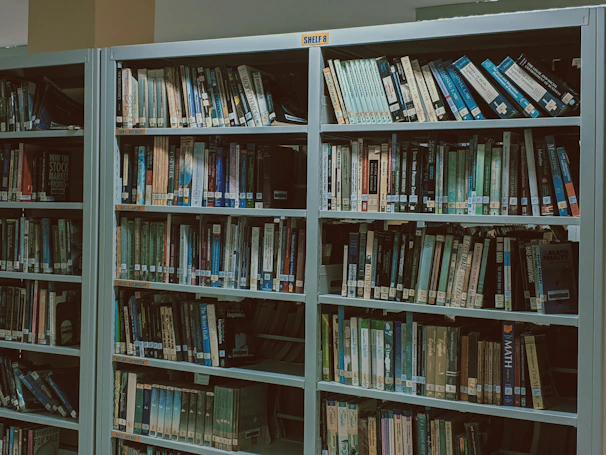 Bookshelves labeled with academic disciplines in a quiet library corner.