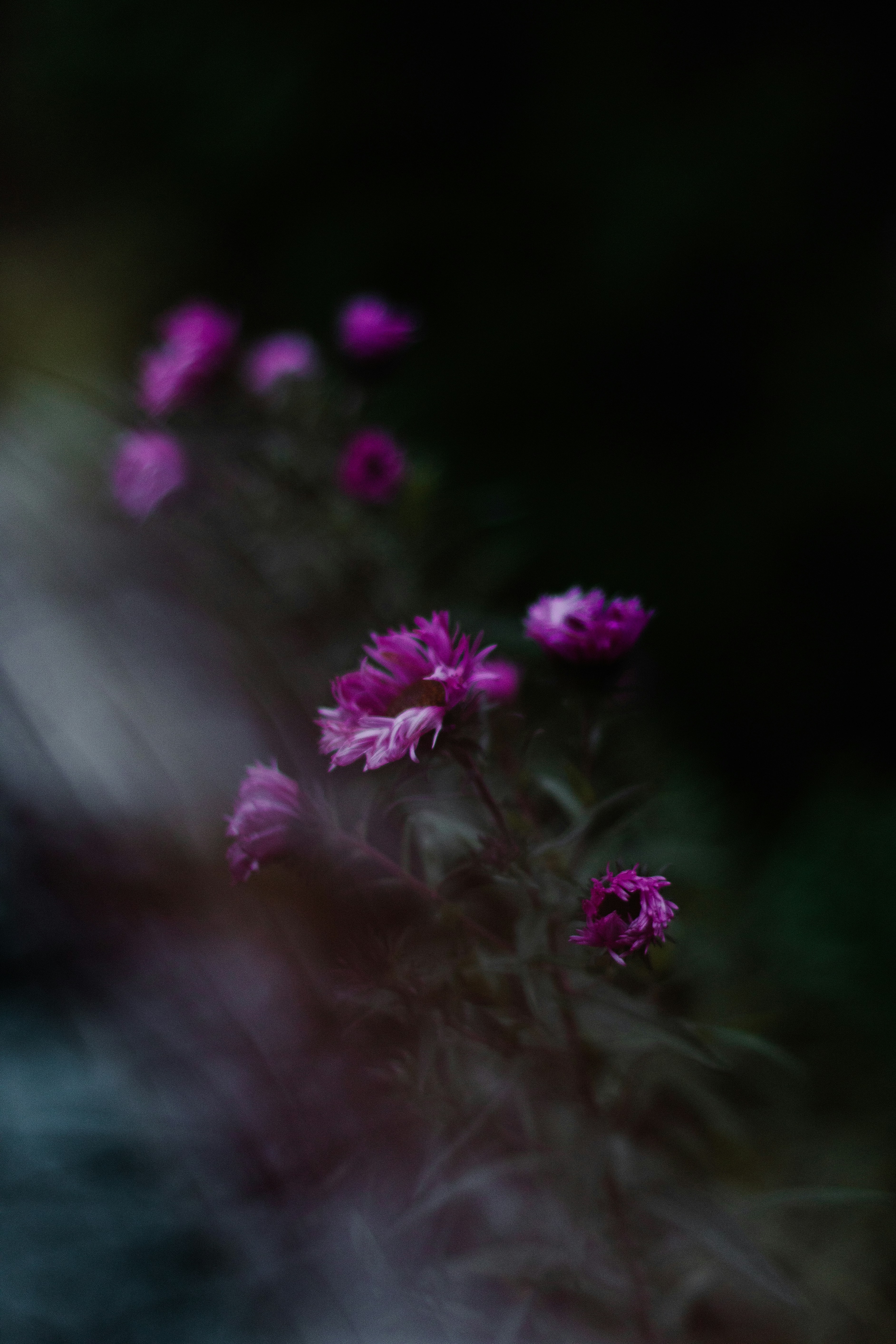 Photo by irinakurash