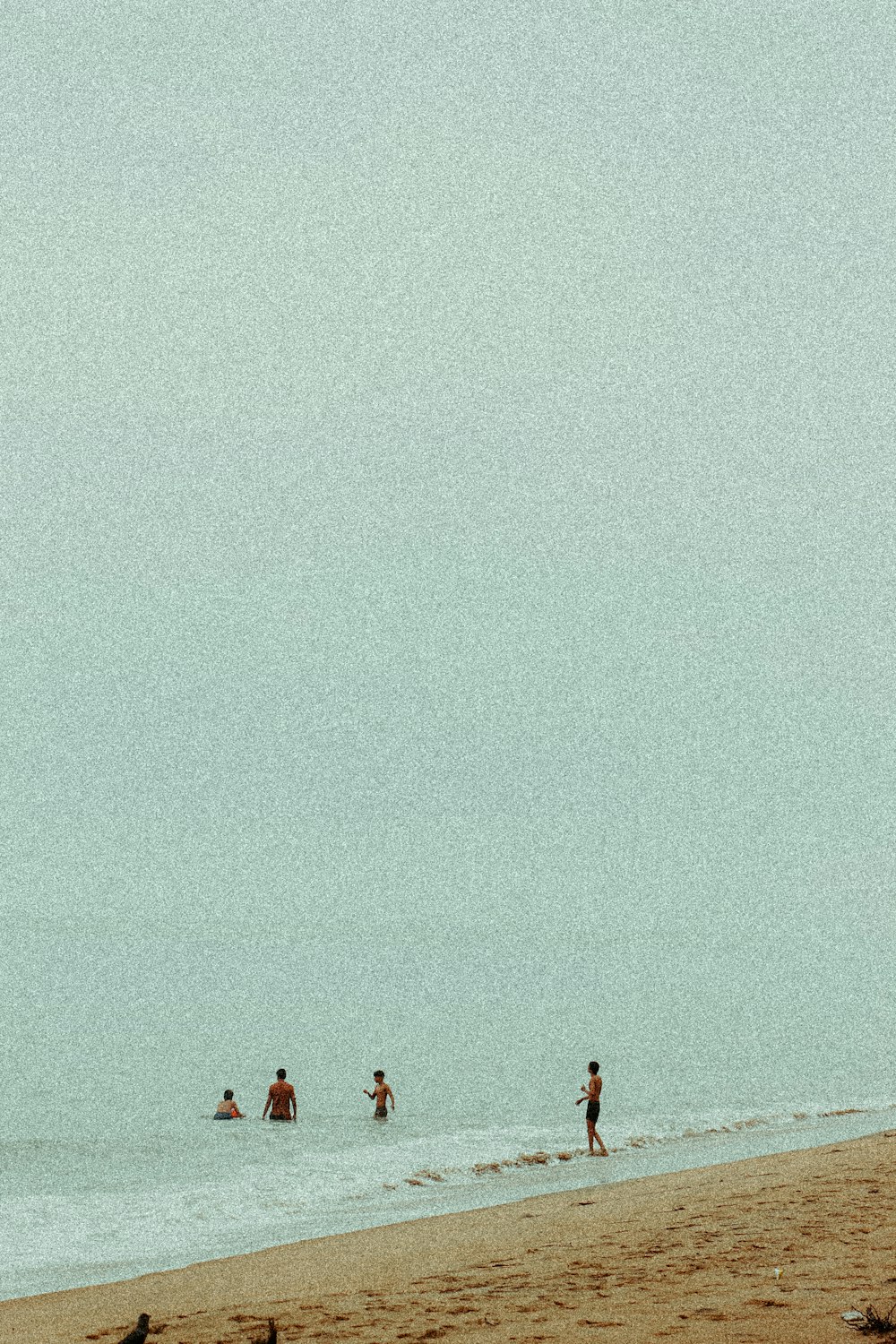 people on a beach