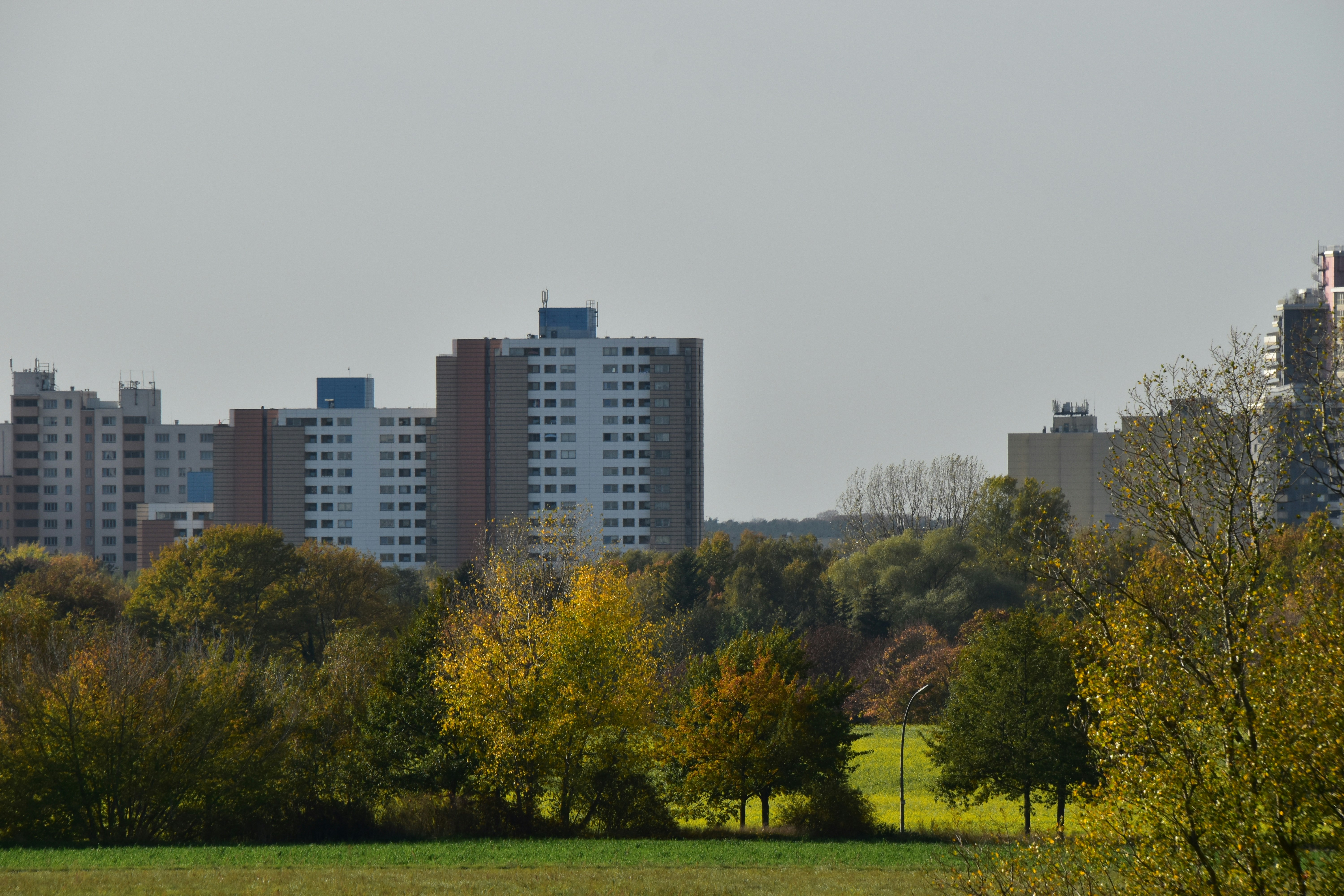 Briarcliffe Acres cityscape