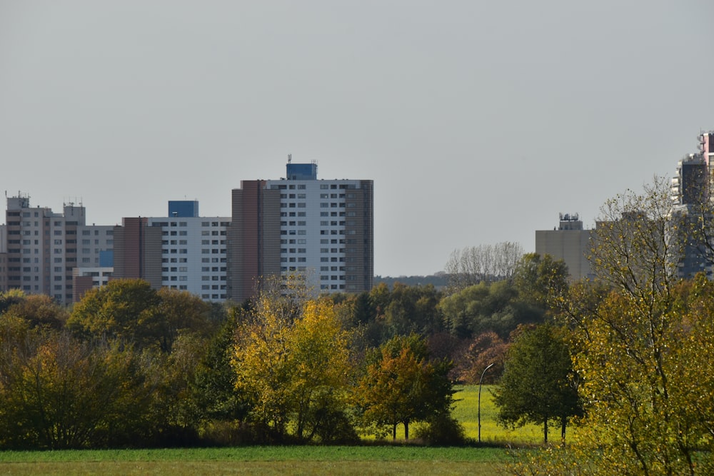 a group of trees in front of a group of buildings