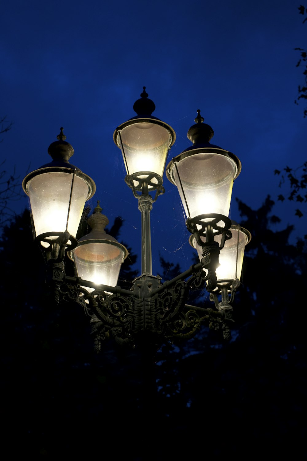 a group of light bulbs